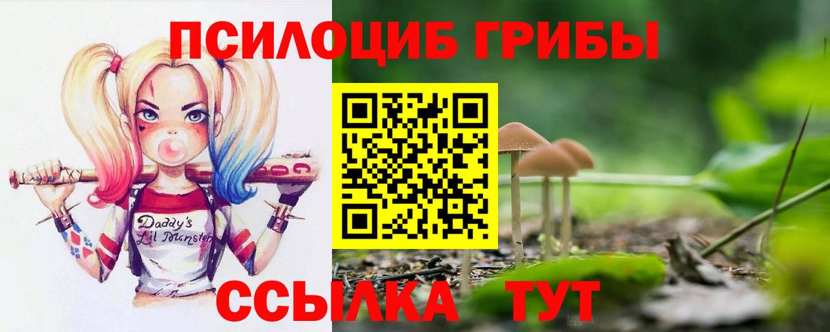 купить   Псилоцибиновые грибы Magic Shrooms  Вход с VPN  Славянск-на-Кубани 